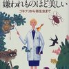 ナタリーアンジェ『嫌われものほど美しい』