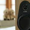 LINN 119