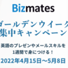 #Bizmates でレッスンチケットの半額キャンペーンをやっています。