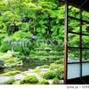 【奈良】室内から観る日本庭園