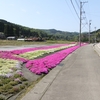 富山県氷見市の県道18号沿いで5月ごろに見かけた花を振り返る