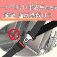 妊娠中もシートベルトは必須 妊婦と赤ちゃんを守るクルマの乗り方 クルマのわからないことぜんぶ 車初心者のための基礎知識 Norico ノリコ