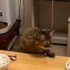 廃止