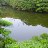 西ヶ谷池（静岡県榛原）