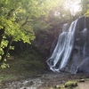 滝野公園へ紅葉ラン