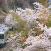 飯山線上今井付近の桜が見頃