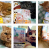 猫猫ねこ・猫さんと「ちびねこ亭の思い出ごはん」「作ってあげたい小江戸ごはん」2020年12月27日までのInstagram投稿分