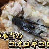 給食に昆虫食！？コオロギコロッケに物申す