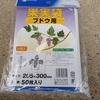 葡萄ピオーネの袋掛けしました　I bagged grapes Pione.