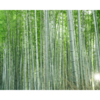 健やかな起業生活～近況報告～
