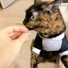 あったかぬくぬく。