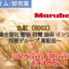 【株式銘柄徹底分析】丸紅 Marubeni（8002）～総合商社 穀物 発電 森林 インフラ 芙蓉グループ 高配当～