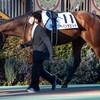 【一口馬主／ラパンラピッド、カネラフィーナ】順調、順調♪