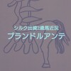 年内デビューへ!?出資2歳馬プランドルアンテ近況（2019/1025）