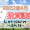 【2022年4月】配当金30万円で沖縄旅行を目指す！うぃーずの投資記録｜QYLD・HDV .etc