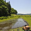 田植えの季節です♡