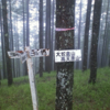 御巣鷹山慰霊登山・プロローグ