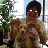 脳炎オフ（犬喜利会）　ベイクオーターにて