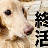 【愛犬の終活】どんな治療を望む飼い主になる？