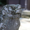 小松市の戸津八幡神社の狛犬は小ぶりでかわいい