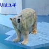 気のせいか