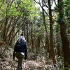 春終わる三辻山の遊山　春山