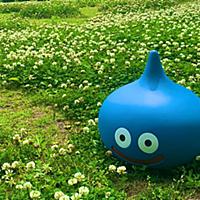 勇者ヨシヒコとは テレビの人気 最新記事を集めました はてな