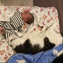 4children.3cat