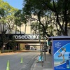 【ヨハネスブルグ】ローズバンクのサンデーマーケット