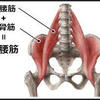 腹筋、大腿四頭筋、腸腰筋