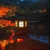 【港区】八芳園 日本庭園 【TOKYO RED GARDEN】