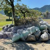 竹島公園の草刈り