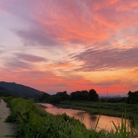夕暮れの散歩道にて