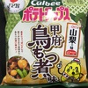 カルビーポテトチップス 甲府鳥もつ煮味