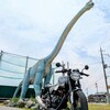 <滋賀県米原市>珍スポットvol.12 現代に蘇る！ブラキオサウルス