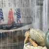 それ、古新聞なんですけどね💦