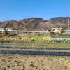 空き地の整理＆植木伐採