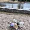 まるで体操着