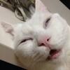 猛暑ウィーク、、、🤣🤣🤣