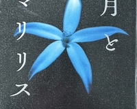 【月とアマリリス】町田そのこ　2025年3月