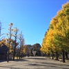 黄葉の赤塚公園
