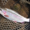 管理釣り場で養殖魚を釣ったら、ホンモノも釣ってみたくならないのか？
