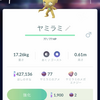 ポケモン雑記。