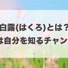 白露とは？過ごし方のポイント