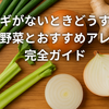 青ネギがないときどうする？代用野菜とおすすめアレンジ完全ガイド