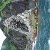 【モノクロームの動】御蔵島のドルフィン