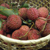 ライチ・レイシ（茘枝）Lychee