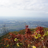茨城県筑波山に登山してきました～その２(男体山山頂～御幸ヶ原コースで下山)