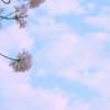4月12日牡羊座新月です