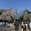 上野・蔵前へミニ展示巡り